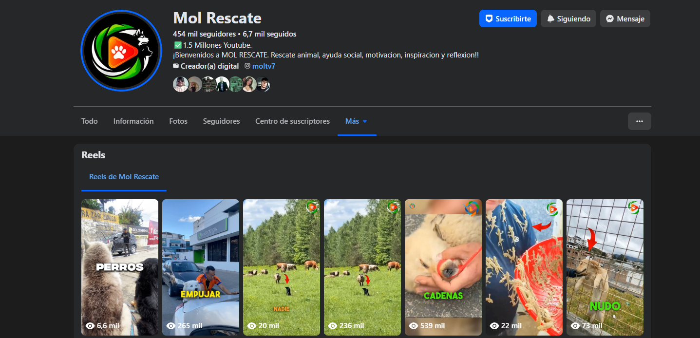 Piezas Publicitarias y Contenido Viral